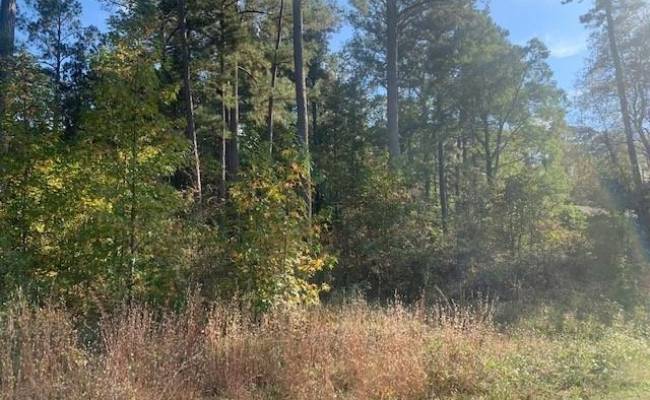 .41AC Pinehaven Road, Southampton County, VA 23837