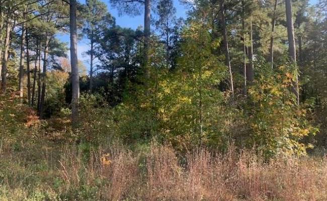 .42AC Pinehaven Road, Southampton County, VA 23837