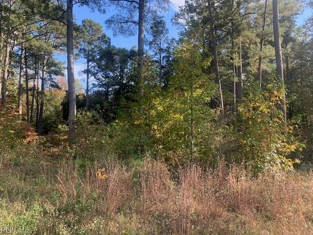 Photo 1 of 1 land for sale in Southampton County virginia