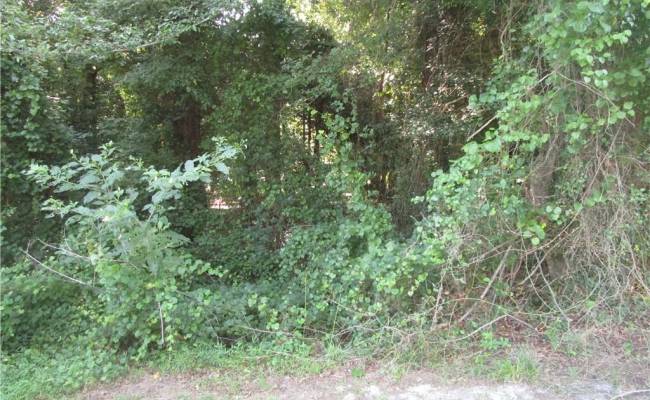 Lot 5 Scottswood Drive, Southampton County, VA 23851