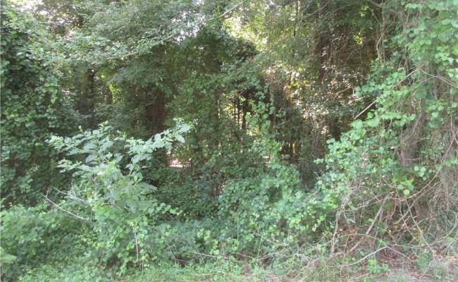 Lot 5 Scottswood Drive, Southampton County, VA 23851