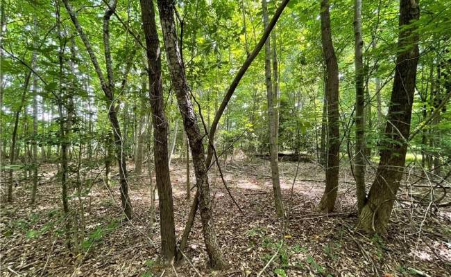 19+ac Cabin Point (Off of) Road, Surry County, VA 23881