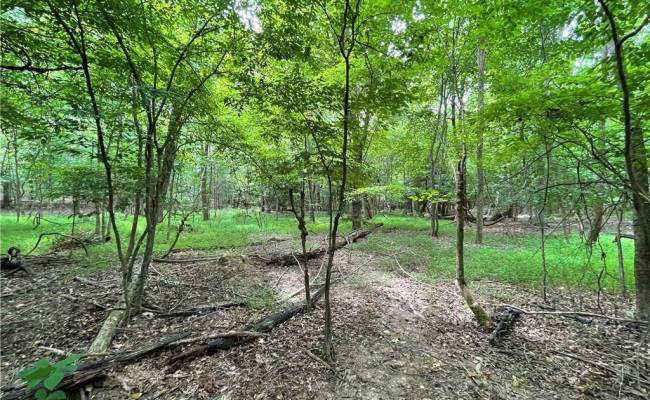 19+ac Cabin Point (Off of) Road, Surry County, VA 23881