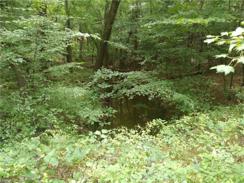 Photo 1 of 11 land for sale in Gloucester County virginia