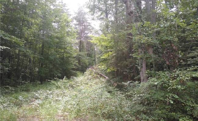 2 Lots Creekwood Lane, Gloucester County, VA 23061