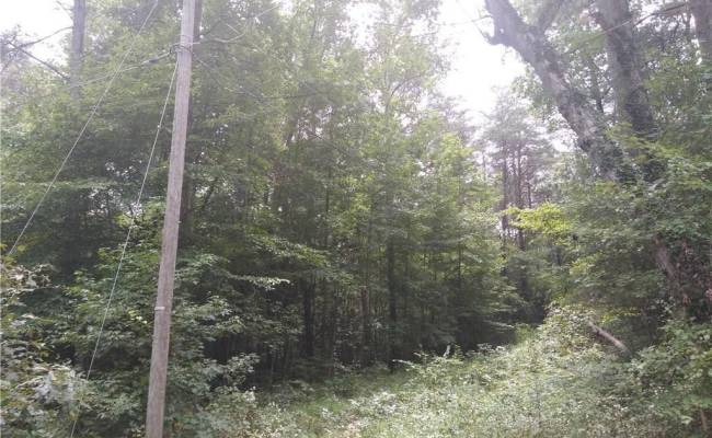 2 Lots Creekwood Lane, Gloucester County, VA 23061