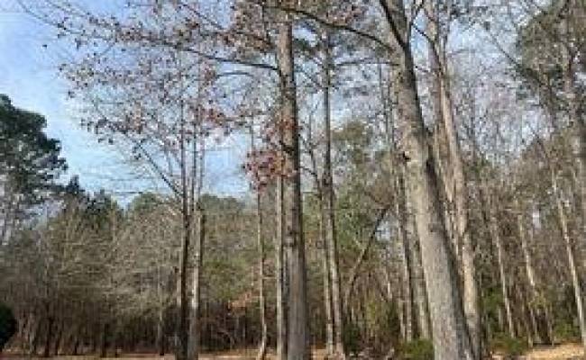 11+ac Emerald Woods Drive, Chesapeake, VA 23321