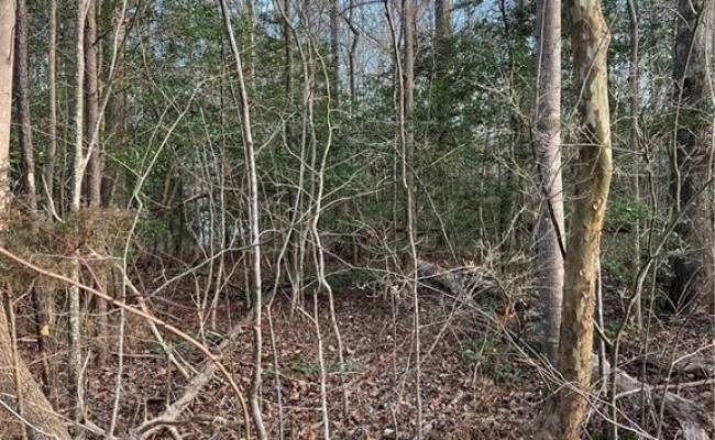 1.11AC Chriscoe Lane, Gloucester County, VA 23061