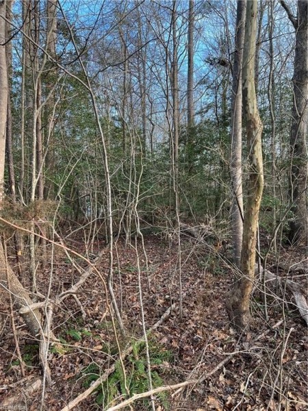 Photo 1 of 2 land for sale in Gloucester County virginia