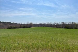property image for 105 ac Holy Neck Suffolk VA 23437