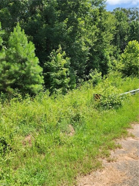 Photo 1 of 4 land for sale in Mecklenburg County virginia