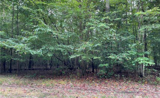 00 Beech Creek 10.88AC Road, Gloucester County, VA 23061