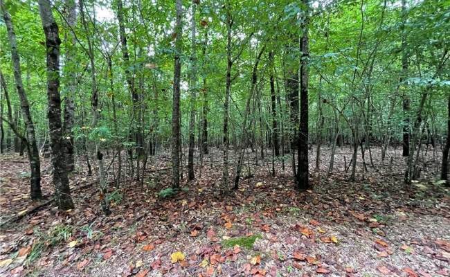 00 Beech Creek 10.88AC Road, Gloucester County, VA 23061