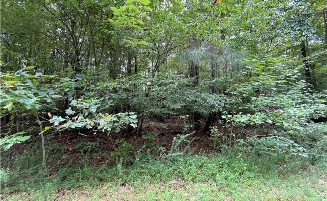 00 Beech Creek 10.88AC Road, Gloucester County, VA 23061