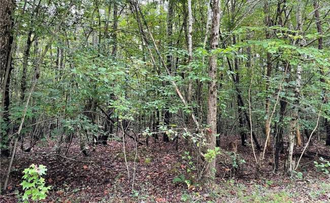 00 Beech Creek 10.88AC Road, Gloucester County, VA 23061