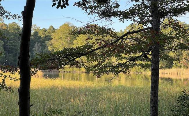 Lot 4 Paddock Drive, Lancaster County, VA 22503