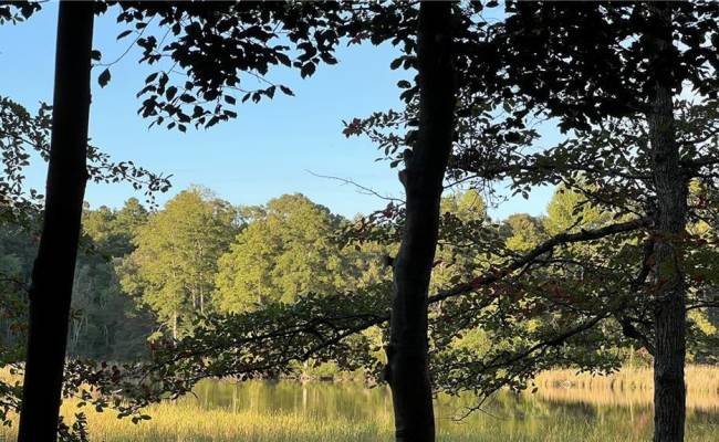Lot 4 Paddock Drive, Lancaster County, VA 22503