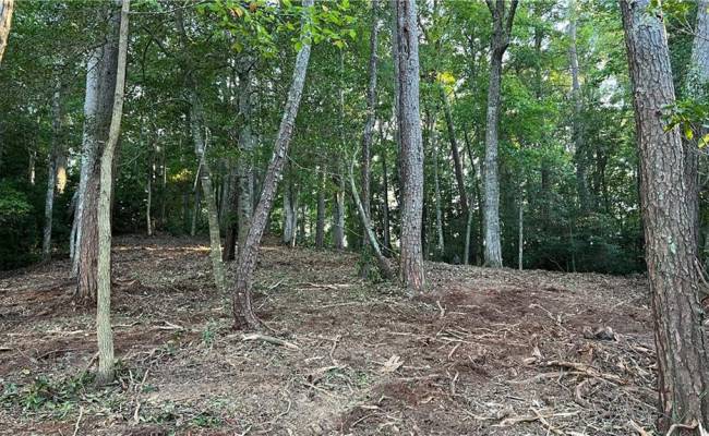 Lot 4 Paddock Drive, Lancaster County, VA 22503