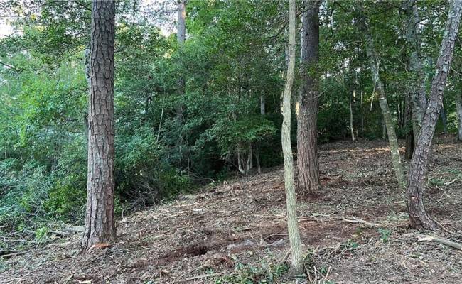Lot 4 Paddock Drive, Lancaster County, VA 22503