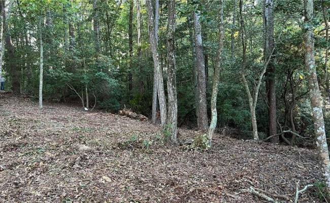 Lot 4 Paddock Drive, Lancaster County, VA 22503