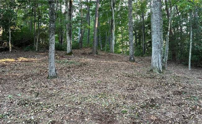 Lot 4 Paddock Drive, Lancaster County, VA 22503