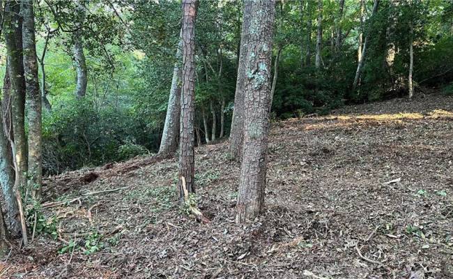 Lot 4 Paddock Drive, Lancaster County, VA 22503