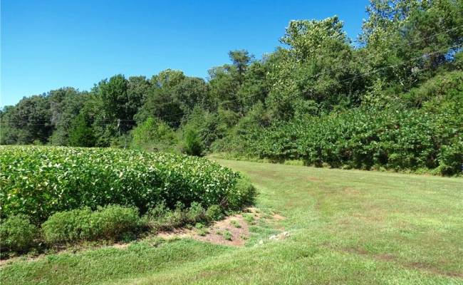 Lot 4 Paddock Drive, Lancaster County, VA 22503