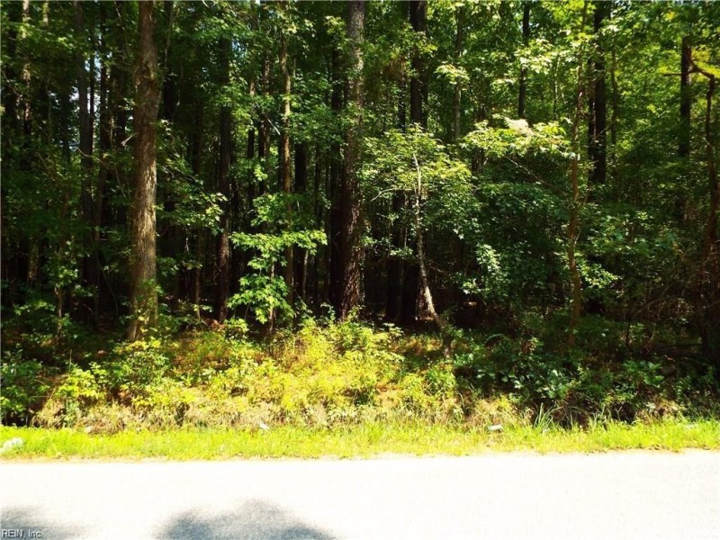 Photo 1 of 3 land for sale in Southampton County virginia