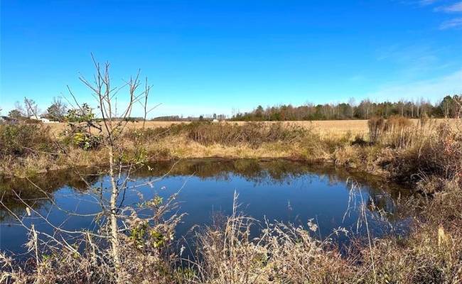 34+ac Walters Highway, Isle of Wight County, VA 23315