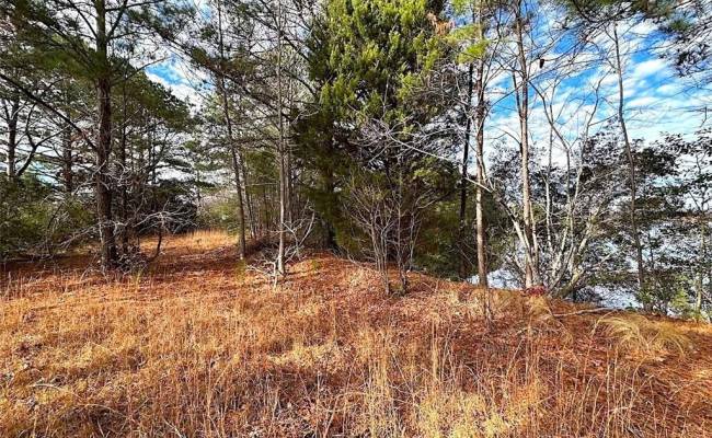 34+ac Walters Highway, Isle of Wight County, VA 23315