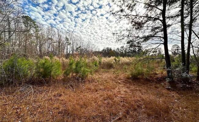 34+ac Walters Highway, Isle of Wight County, VA 23315