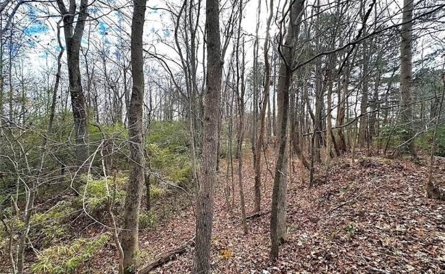 34+ac Walters Highway, Isle of Wight County, VA 23315