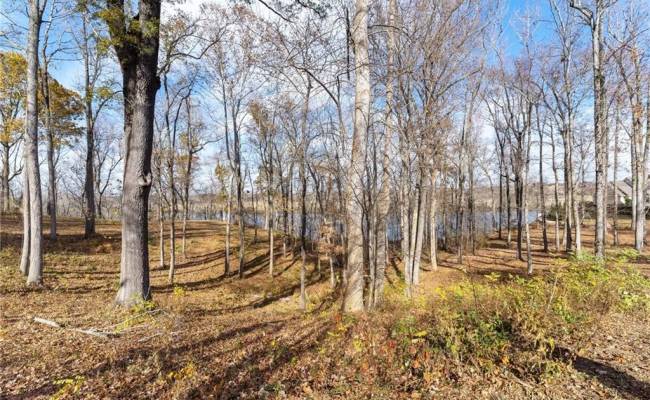 Lot 3R Boxwood Shores Drive, Mecklenburg County, VA 23917