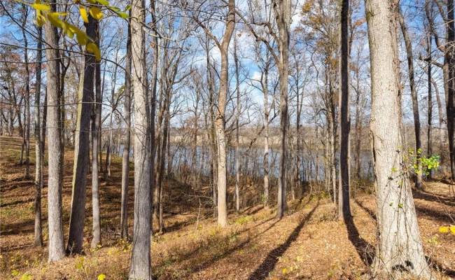 Lot 4R Boxwood Shores Drive, Mecklenburg County, VA 23917