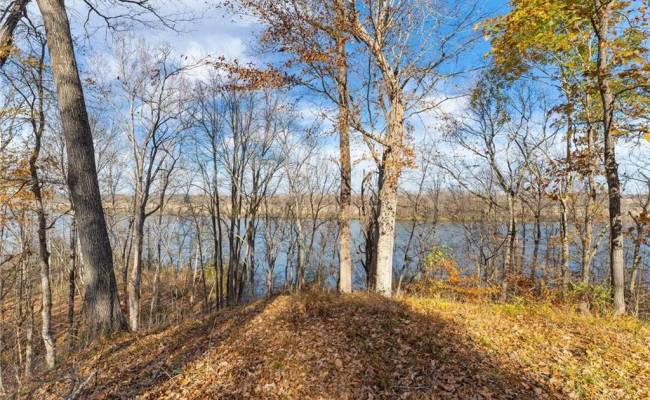 LOT 2 Boxwood Shores Drive, Mecklenburg County, VA 23917