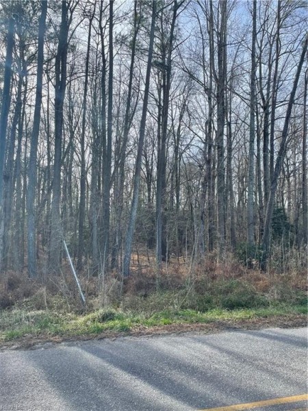 Photo 1 of 4 land for sale in King & Queen County virginia
