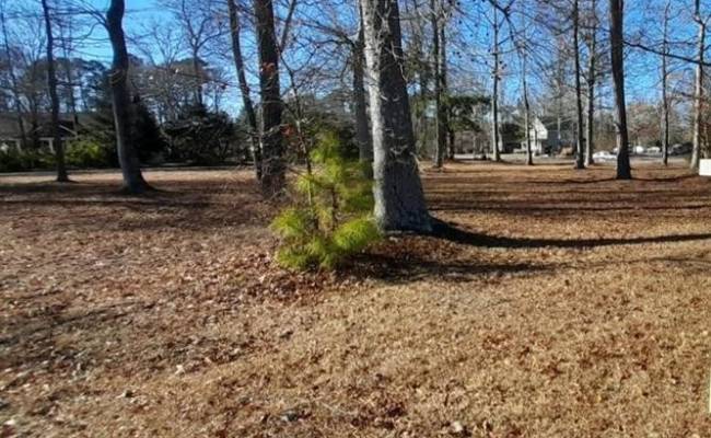 1+ac Road Street, Pasquotank County, NC 27909