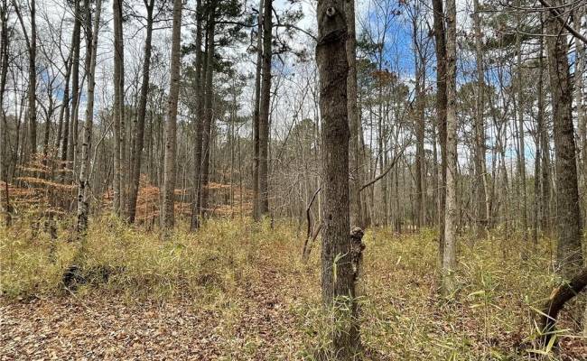 .55ac CLIFTON Street, Suffolk, VA 23435