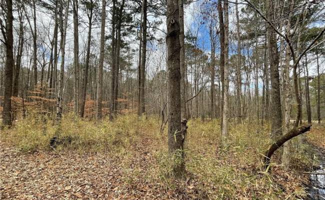 .55ac CLIFTON Street, Suffolk, VA 23435