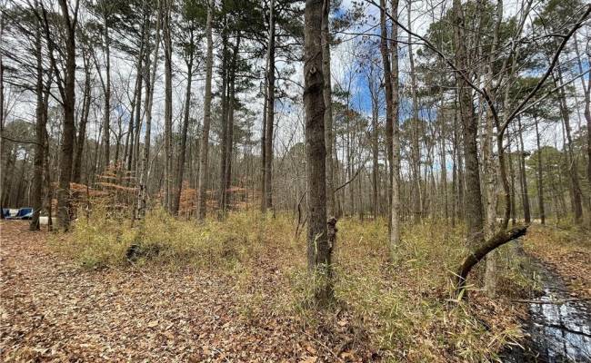 .55ac CLIFTON Street, Suffolk, VA 23435