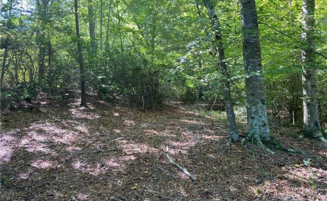 3.25ac Rock Fish Road, Northumberland County, VA 22473