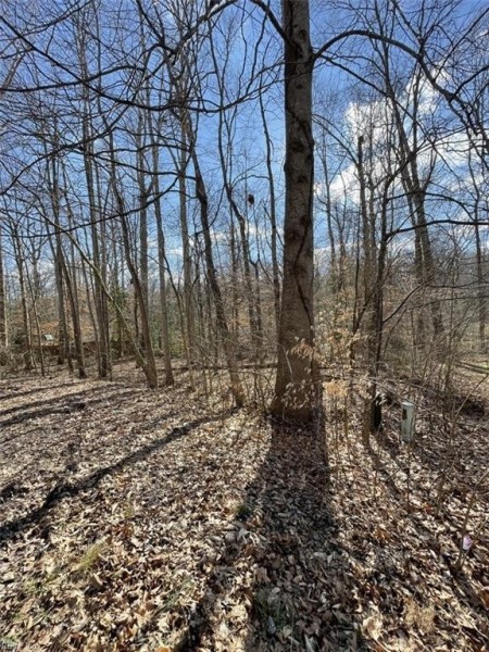 Photo 1 of 10 land for sale in Gloucester County virginia