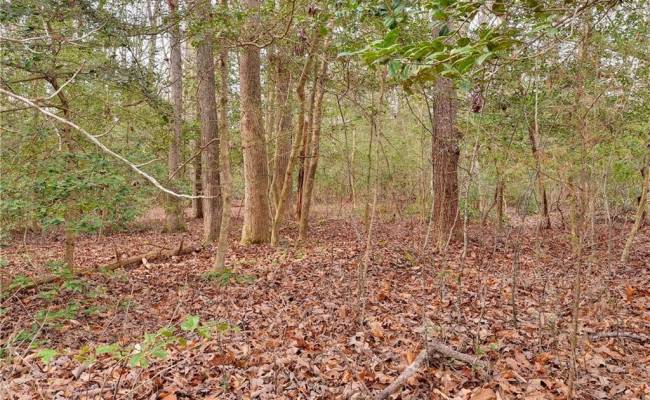 Lot A Lonesome Pine Trail, Lancaster County, VA 22503