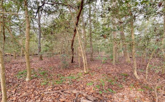 Lot A Lonesome Pine Trail, Lancaster County, VA 22503