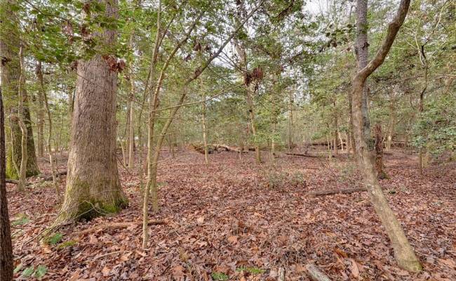 Lot A Lonesome Pine Trail, Lancaster County, VA 22503