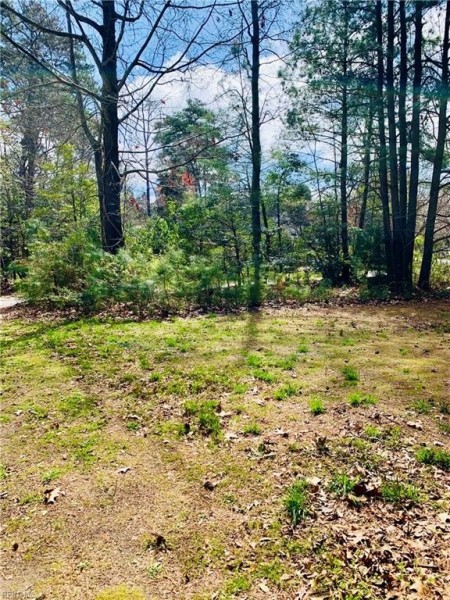 Photo 1 of 10 land for sale in Northampton County virginia