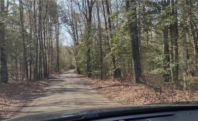 Lot 5 Settlers Land , Gloucester County, VA 23061