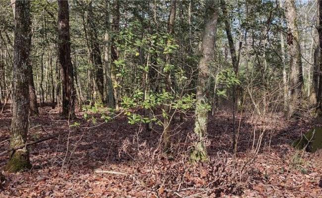 Lot 5 Settlers Land , Gloucester County, VA 23061