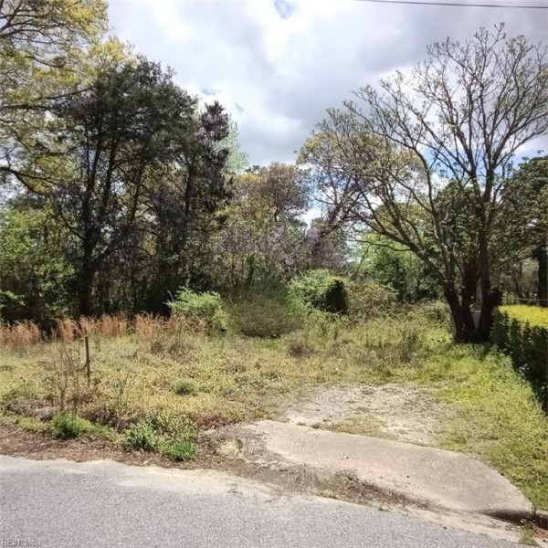 Photo 1 of 2 land for sale in Isle of Wight County virginia