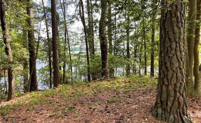 LOT 8 Obrey Drive, Isle of Wight County, VA 23314